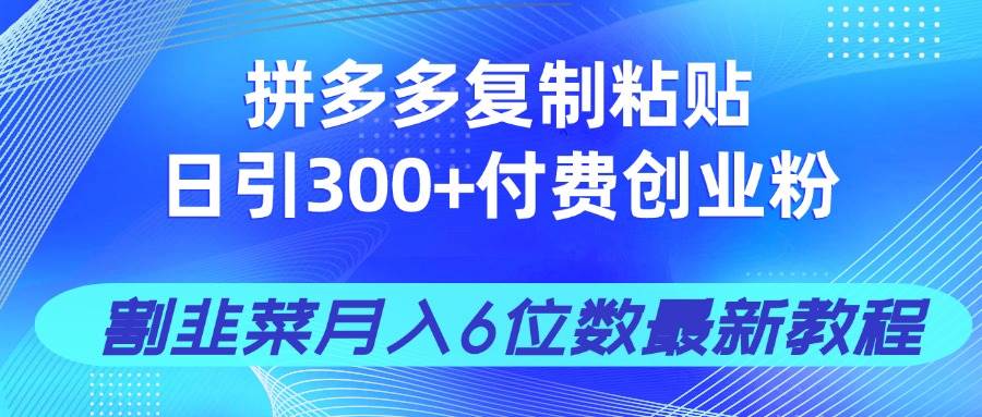 （14232期）拼多多复制粘贴日引300+付费创业粉，割韭菜月入6位数最新教程！网创吧-网创项目资源站-副业项目-创业项目-搞钱项目网创吧