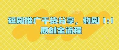 短剧推广干货分享，豹剧 1:1原创全流程网创吧-网创项目资源站-副业项目-创业项目-搞钱项目网创吧