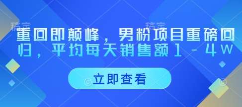 重回即颠峰，男粉项目重磅回归，平均每天销售额1-4W网创吧-网创项目资源站-副业项目-创业项目-搞钱项目网创吧