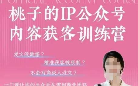 桃子IP公众号内容获客训练营(第3期)，一门让你公众号从0到商业闭环的课程网创吧-网创项目资源站-副业项目-创业项目-搞钱项目网创吧