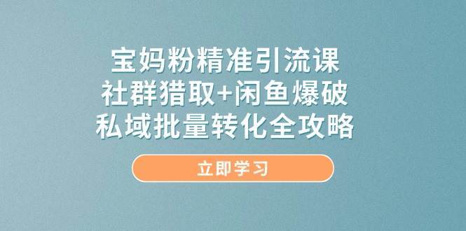 宝妈粉精准引流课，社群猎取+闲鱼爆破，私域批量转化全攻略网创吧-网创项目资源站-副业项目-创业项目-搞钱项目网创吧