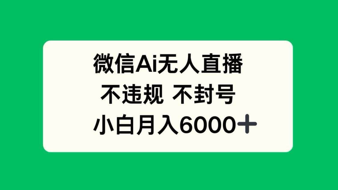 （14733期）微信AI无人直播，不违规 不封号 ，小白月入6000+网创吧-网创项目资源站-副业项目-创业项目-搞钱项目网创吧