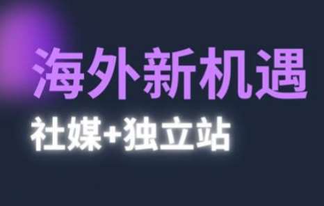 2025出海新机遇(社媒+独立站)，海外新机遇，实现独立站的高效运营与出海网创吧-网创项目资源站-副业项目-创业项目-搞钱项目网创吧