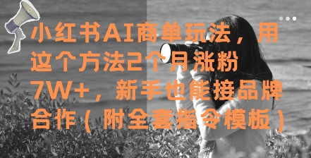 小红书AI商单玩法，用这个方法2个月涨粉7W+，新手也能接品牌合作(附全套指令模板)网创吧-网创项目资源站-副业项目-创业项目-搞钱项目网创吧
