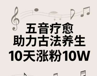 古法五音养生教程，五音疗愈的视频的制作方法，2-4小时就能学会，作者10天涨粉10W网创吧-网创项目资源站-副业项目-创业项目-搞钱项目网创吧