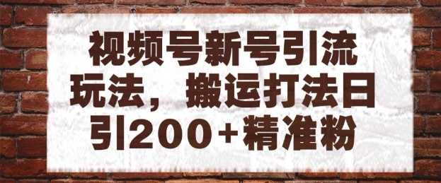 视频号新号引流玩法，搬运打法日引200+精准粉，可矩阵放大【揭秘】网创吧-网创项目资源站-副业项目-创业项目-搞钱项目网创吧