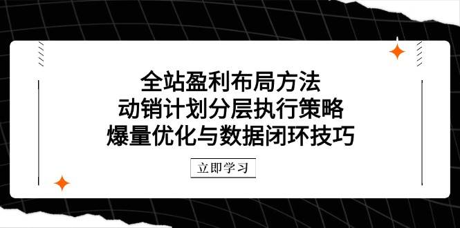 （14698期）全站盈利布局方法：动销计划分层执行策略，爆量优化与数据闭环技巧网创吧-网创项目资源站-副业项目-创业项目-搞钱项目网创吧