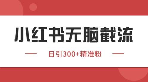 小红书只要你有同行就能获客，独家野路子获客玩法，暴力截流【揭秘】网创吧-网创项目资源站-副业项目-创业项目-搞钱项目网创吧