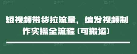 短视频带货拉流量，编发视频制作实操全流程(可搬运)网创吧-网创项目资源站-副业项目-创业项目-搞钱项目网创吧