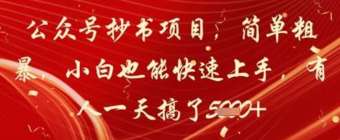 公众号抄书项目，简单粗暴，小白也能快速上手，有人一天搞了1k+网创吧-网创项目资源站-副业项目-创业项目-搞钱项目网创吧