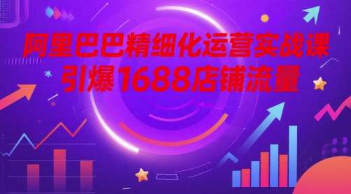阿里巴巴精细化运营实战课，引爆1688店铺流量网创吧-网创项目资源站-副业项目-创业项目-搞钱项目网创吧