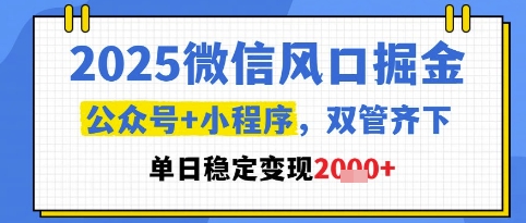 2025微信风口掘金，公众号+小程序双管齐下，单日稳定变现1k+【揭秘】网创吧-网创项目资源站-副业项目-创业项目-搞钱项目网创吧