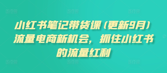 小红书笔记带货课(更新25年5月)流量电商新机会，抓住小红书的流量红利网创吧-网创项目资源站-副业项目-创业项目-搞钱项目网创吧