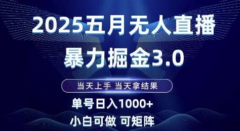 2025五月无人直播暴力掘金3.0,当天上手,当天拿结果,单号日入1k+小白可做可矩阵【揭秘】网创吧-网创项目资源站-副业项目-创业项目-搞钱项目网创吧