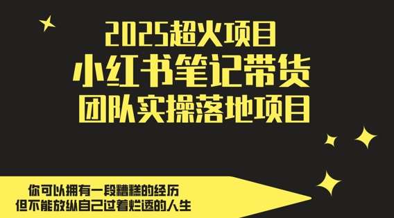 2025超火项目，副业最佳选择，小红书笔记带货团队实操落地项目，，轻松日入5张网创吧-网创项目资源站-副业项目-创业项目-搞钱项目网创吧