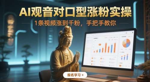 AI观音对口型涨粉实操，1条视频涨到千粉，手把手教你网创吧-网创项目资源站-副业项目-创业项目-搞钱项目网创吧