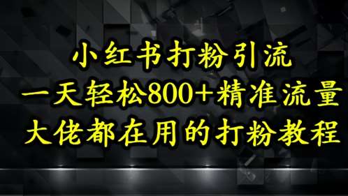 小红书打粉引流，一天轻松500+精准流量，大佬都在用的打粉教程网创吧-网创项目资源站-副业项目-创业项目-搞钱项目网创吧