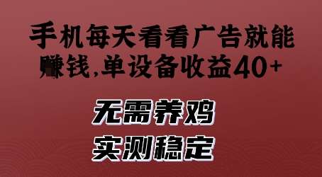 手机每天看看广告就能挣钱，单设备收益40+，无需养鸡，实测稳定【揭秘】网创吧-网创项目资源站-副业项目-创业项目-搞钱项目网创吧