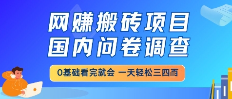 网创搬砖项目，国内问卷调查，小白轻松上手，一天三四张的也不难，干就完了【揭秘】网创吧-网创项目资源站-副业项目-创业项目-搞钱项目网创吧
