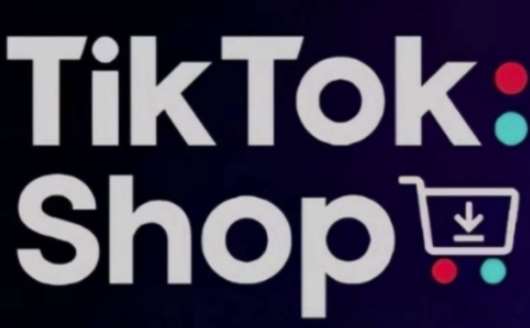 TikTokShop跨境电商0-1实战，手把手教你低成本启动海外市场（更新）网创吧-网创项目资源站-副业项目-创业项目-搞钱项目网创吧