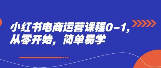 小红书电商运营课程0-1，从零开始，简单易学网创吧-网创项目资源站-副业项目-创业项目-搞钱项目网创吧