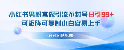 小红书男粉常规引流不封号日引99+变现简单 可矩阵可复制小白容易上手网创吧-网创项目资源站-副业项目-创业项目-搞钱项目网创吧