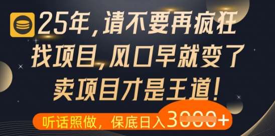 什么？25年你还在疯狂找项目做，醒醒吧，看完这些你全都懂了【揭秘】网创吧-网创项目资源站-副业项目-创业项目-搞钱项目网创吧