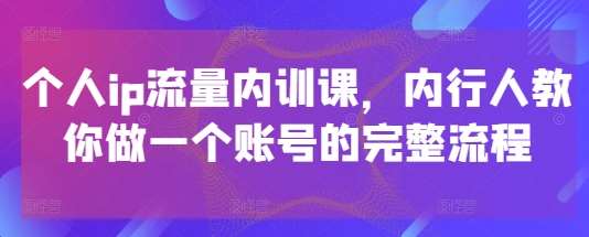 个人ip流量内训课，内行人教你做一个账号的完整流程网创吧-网创项目资源站-副业项目-创业项目-搞钱项目网创吧