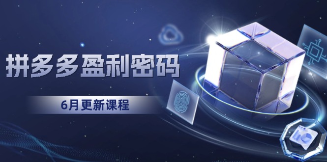 （15005期）拼多多盈利密码：从烧钱推广到印钞模型，底层逻辑重构指南（6月更新）网创吧-网创项目资源站-副业项目-创业项目-搞钱项目网创吧