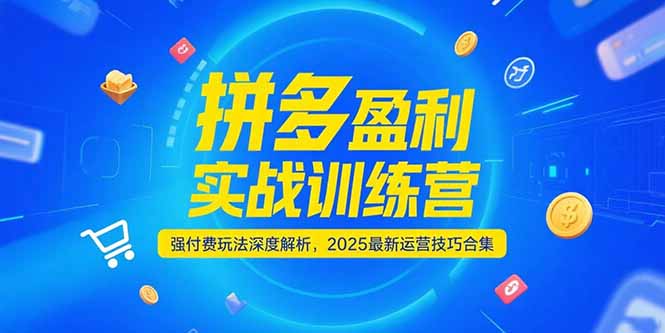 （15183期）拼多多盈利实战训练营，强付费玩法深度解析，2025运营技巧合集-更新6月网创吧-网创项目资源站-副业项目-创业项目-搞钱项目网创吧