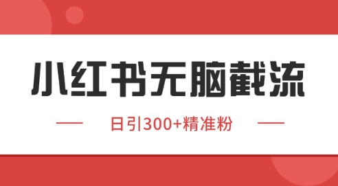小红书截流同行客源，独家野路子获客玩法 日引200+暴力获客【揭秘】网创吧-网创项目资源站-副业项目-创业项目-搞钱项目网创吧
