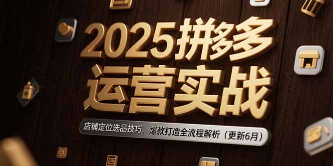 （15235期）2025拼多多运营实战：店铺定位选品技巧，爆款打造全流程解析（更新6月）网创吧-网创项目资源站-副业项目-创业项目-搞钱项目网创吧