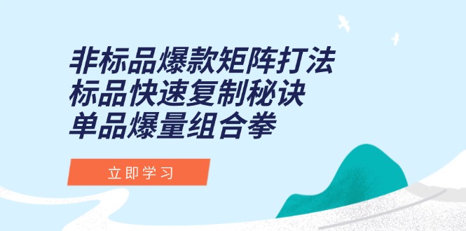 (15068期)非标品爆款矩阵打法,标品快速复制秘诀,单品爆量组合拳网创吧-网创项目资源站-副业项目-创业项目-搞钱项目网创吧