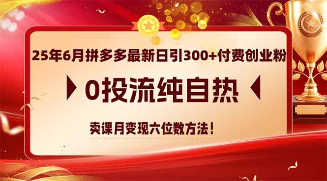（14989期）25年6月拼多多最新日引300+付费创业粉，0投流纯自热 卖课月变现六位数方法网创吧-网创项目资源站-副业项目-创业项目-搞钱项目网创吧