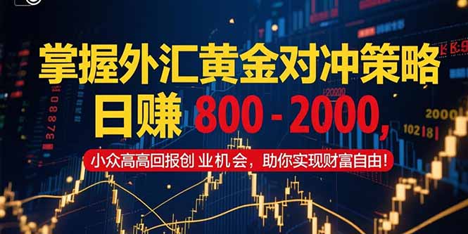 （15198期）掌握外汇黄金对冲策略，日赚 800 – 2000，小众高回报创业机会，助你实…网创吧-网创项目资源站-副业项目-创业项目-搞钱项目网创吧