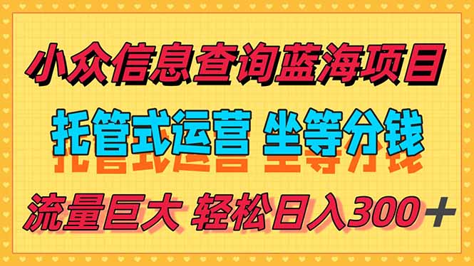 （15216期）稳定日入300＋，小众信息查询蓝海项目，全程懒人式托管，解放你的时间网创吧-网创项目资源站-副业项目-创业项目-搞钱项目网创吧