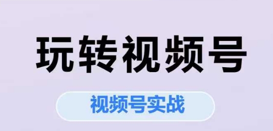 玩转视频号，视频号实战系列课网创吧-网创项目资源站-副业项目-创业项目-搞钱项目网创吧