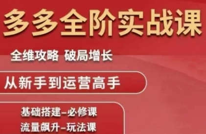 拼多多全阶实战课程，全维攻略，破局增长，从新手到运营高手网创吧-网创项目资源站-副业项目-创业项目-搞钱项目网创吧