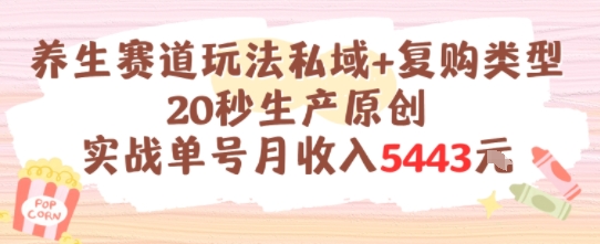 养生赛道玩法私域+复购类型，20秒生产原创实战单号月收入5k+网创吧-网创项目资源站-副业项目-创业项目-搞钱项目网创吧