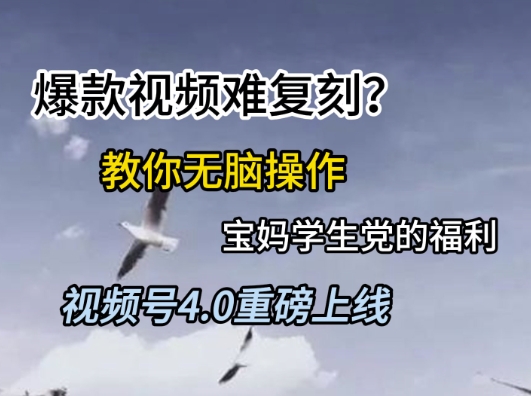 视频号4.0重磅上线，爆款视频难复刻？教你无脑操作宝妈学生党的福利【揭秘】网创吧-网创项目资源站-副业项目-创业项目-搞钱项目网创吧