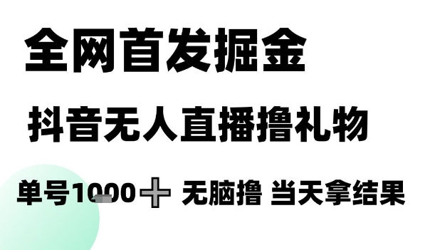 全网首发掘金抖音无人直播撸礼物，单号1k +无脑撸，当天拿结果【揭秘】网创吧-网创项目资源站-副业项目-创业项目-搞钱项目网创吧