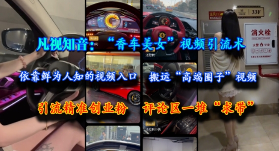 凡视知音：“香车美女”视频引流术，依靠鲜为人知的视频入口，搬运“高端圈子”视频，引流精准创业粉，评论区一堆“求带”网创吧-网创项目资源站-副业项目-创业项目-搞钱项目网创吧