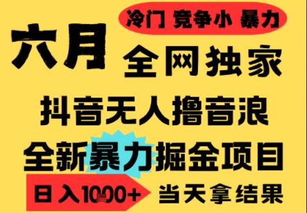 25年6月高爆抖音无人直播最新撸音浪掘金项目，小白可做，无脑日入1k+，门槛低可批量矩阵【揭秘】网创吧-网创项目资源站-副业项目-创业项目-搞钱项目网创吧