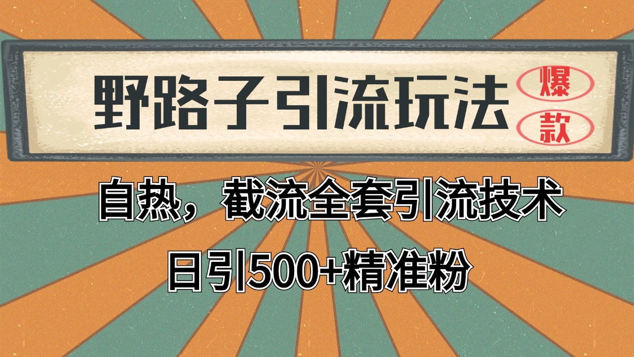 2024首发野路子引流玩法截流自热全平台打法，全自动引流【日引2000+精准客户】网创吧-网创项目资源站-副业项目-创业项目-搞钱项目网创吧