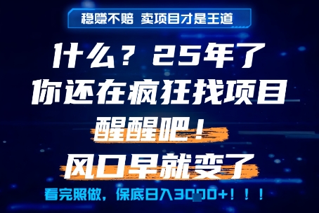 什么？25年你还在疯狂找项目做，醒醒吧，看完这些你全都懂了！【揭秘】网创吧-网创项目资源站-副业项目-创业项目-搞钱项目网创吧