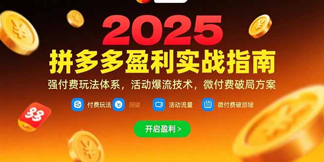 （15357期）拼多多盈利实战指南，强付费玩法，活动爆流技术，微付费破局方案(更新7月)网创吧-网创项目资源站-副业项目-创业项目-搞钱项目网创吧