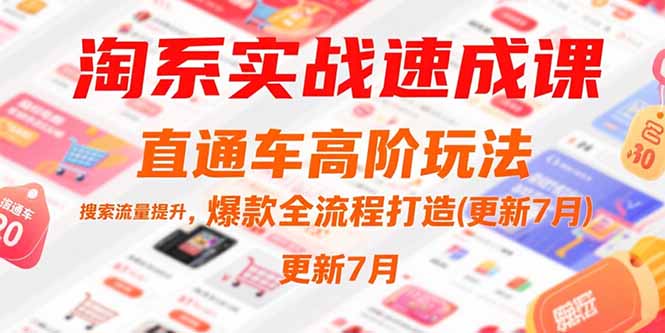 （15374期）淘系实战速成课，直通车高阶玩法，搜索流量提升，爆款全流程打造(更新7月)网创吧-网创项目资源站-副业项目-创业项目-搞钱项目网创吧