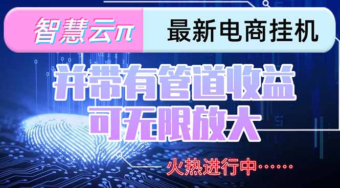 （15314期）智慧云π电脑挂机单机每天收益300—500+ 并带有团队管道收益 可无限放大网创吧-网创项目资源站-副业项目-创业项目-搞钱项目网创吧
