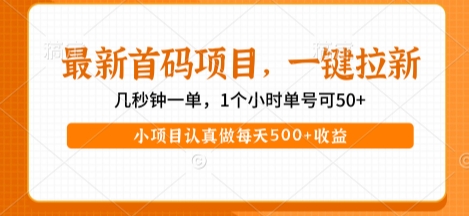 最新首码项目，操作最简单，收益高，一键拉新，1个小时单号可50+，小项目认真做每天5张+收益【揭秘】网创吧-网创项目资源站-副业项目-创业项目-搞钱项目网创吧