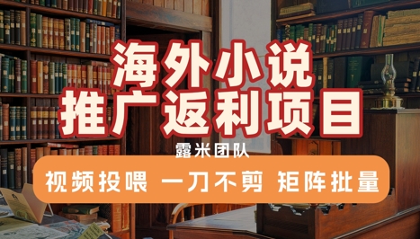 海外小说推广返利项目，视频投喂， 一刀不剪，矩阵批量网创吧-网创项目资源站-副业项目-创业项目-搞钱项目网创吧